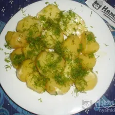 Qaynatilgan kartoshka 3