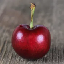Gilos 3