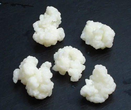 Kefir