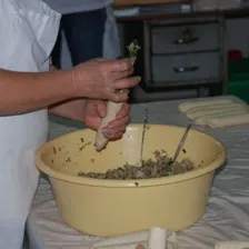 Kibbe 4