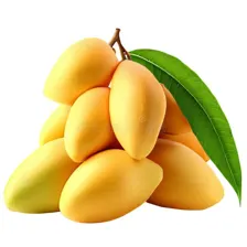 Mango 5