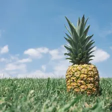 Ananas